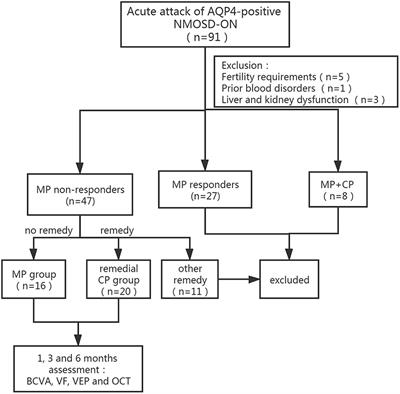 Remedial Effect of Intravenous Cyclophosphamide in Corticosteroid-Refractory Patients in the Acute Phase of Neuromyelitis Optica Spectrum Disorder-Related Optic Neuritis